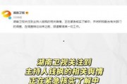 娱乐吃瓜小号,吃瓜小号带你探秘明星幕后故事